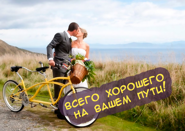 Шуточная поздравительная открытка на свадьбу